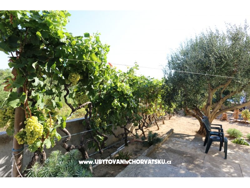 Apartmán Radobuljac Vrsi  – ubytování Zadar, Chorvatsko – foto 3