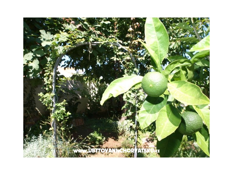 Appartements Andredor – Ferienwohnung Zadar, Kroatien – Foto 7