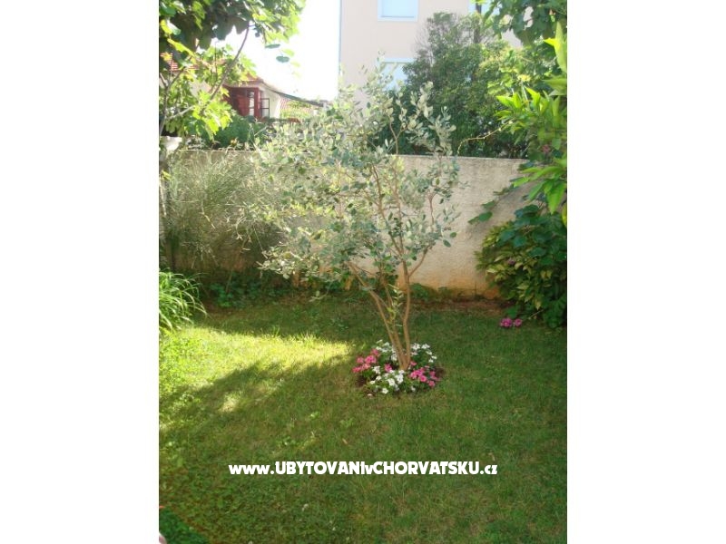 Appartements Andredor – Ferienwohnung Zadar, Kroatien – Foto 8