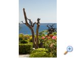 Apartmaji DANI - Zadar Hrvaka