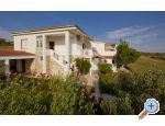 Apartmaji DANI - Zadar Hrvaka