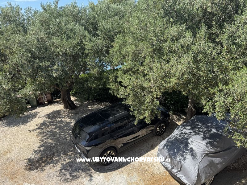Apartmány Danijela Karma – ubytování Zadar, Chorvatsko – foto 24