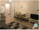 Appartements Danijela Karma - Zadar Kroatien
