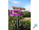 Apartmaji Danijela Karma - Zadar Hrvaka