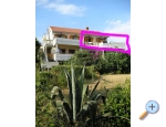 Apartmaji Danijela Karma - Zadar Hrvaka