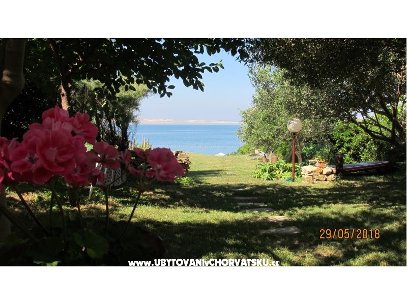 Appartements Devcic DZ – Ferienwohnung Zadar, Kroatien – Foto 7