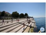 Appartements IRIS - Zadar Croatie