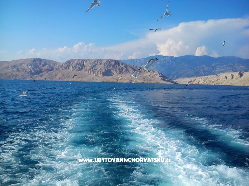 Appartements Joso i Stanka – Ferienwohnung Zadar, Kroatien – Foto 1