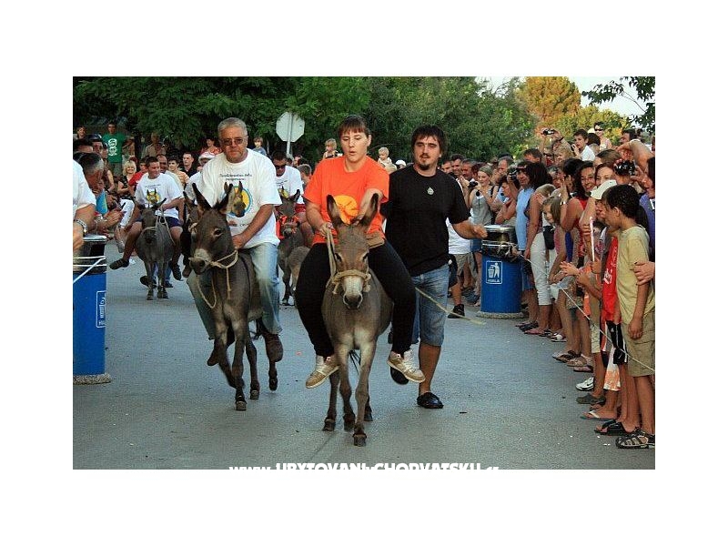 Appartements Lora – Ferienwohnung Zadar, Kroatien – Foto 14