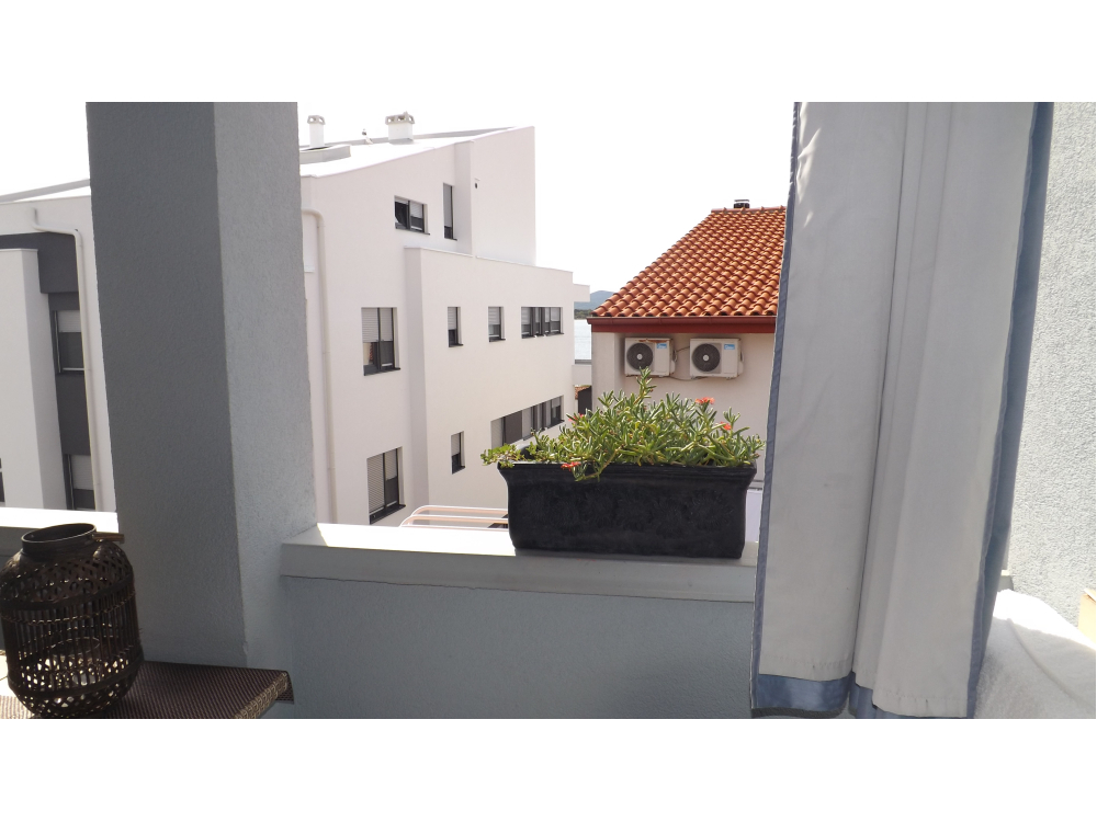 Apartamenty Markov Diklo - Zadar Chorwacja
