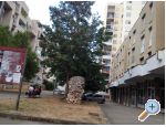 Apartmaji Mikuli - Zadar Hrvaka