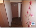 Apartmaji Mikuli - Zadar Hrvaka
