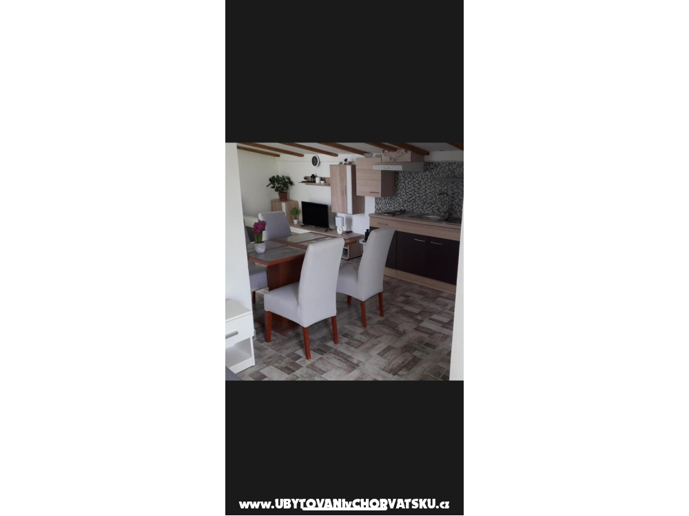 Apartments Miocic - Zadar Croatia