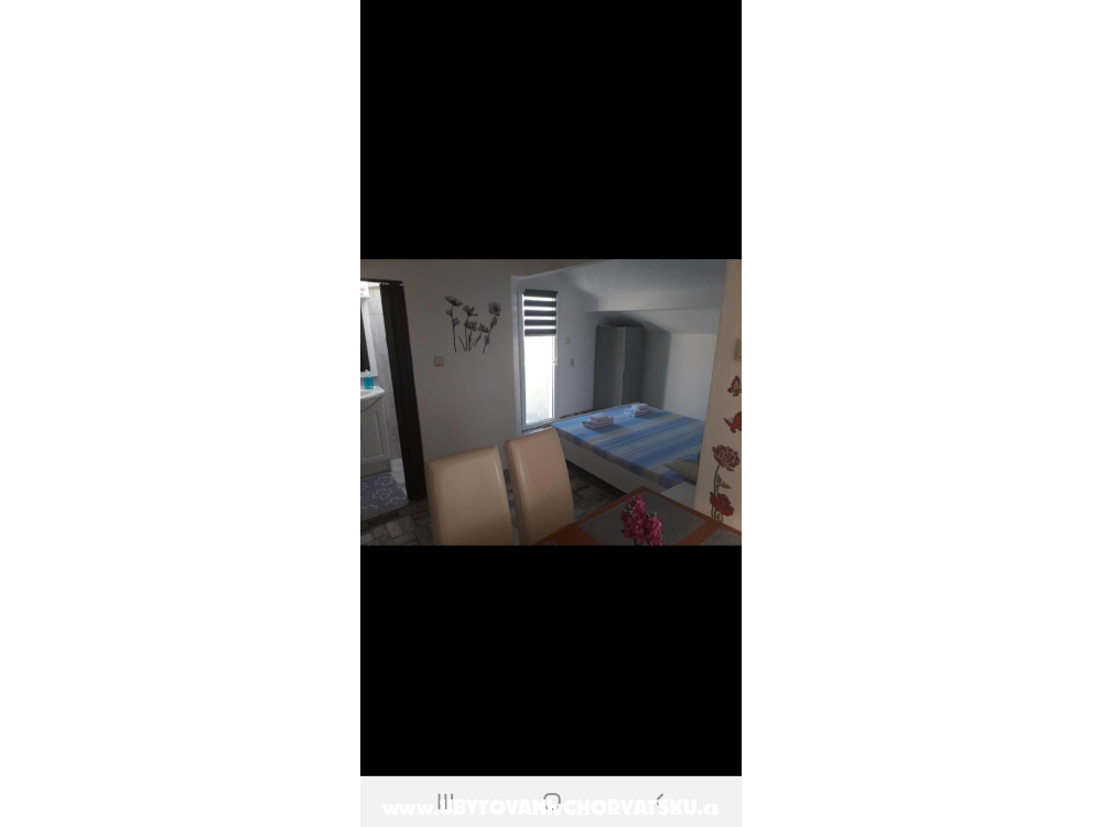 Apartments Miocic - Zadar Croatia