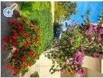 Apartmaji Mira - Zadar Hrvaka