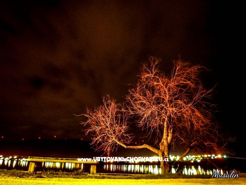 Appartements Musulin – Ferienwohnung Zadar, Kroatien – Foto 14