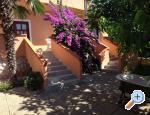 Apartmaji Riva - Zadar Hrvaka