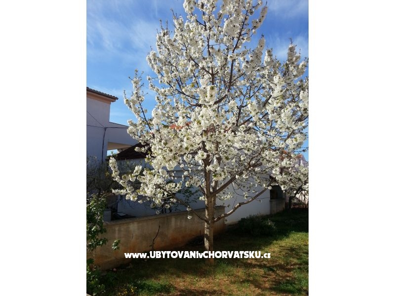 Appartements Stela – Ferienwohnung Zadar, Kroatien – Foto 9