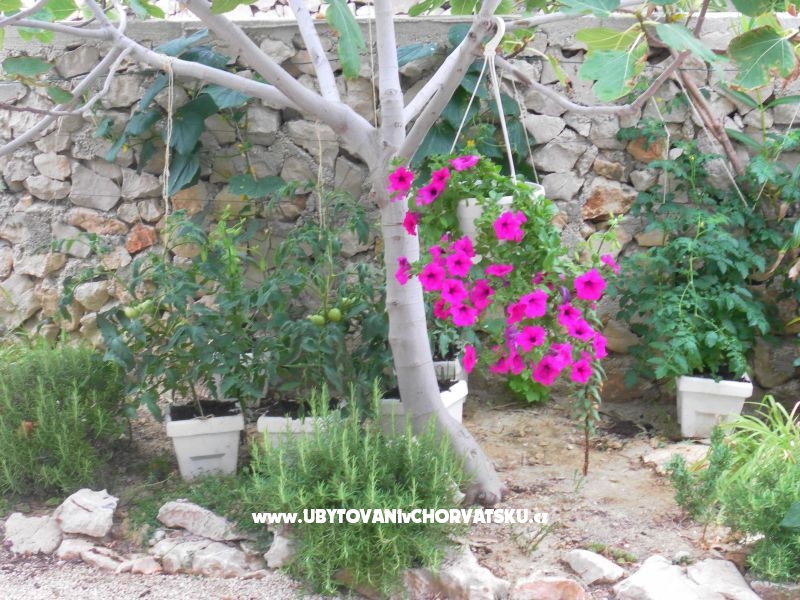 Appartements Stojanović – Ferienwohnung Zadar, Kroatien – Foto 16