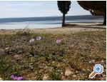 Apartmaji Tena,  prvi red do mora - Zadar Hrvaka