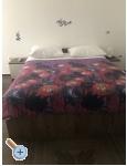 Apartmaji Tonka - Zadar Hrvaka