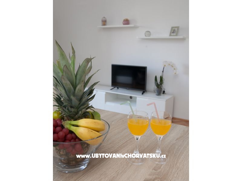 Apartment "Roko" – Ferienwohnung Zadar, Kroatien – Foto 1