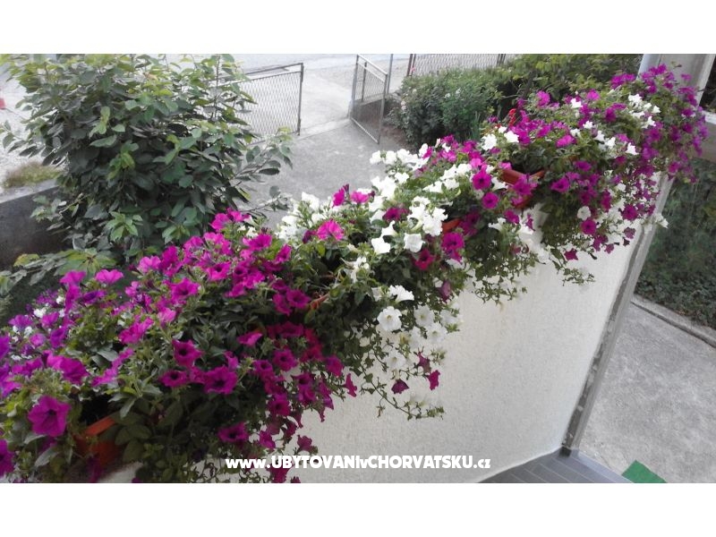 Apartments  Nina  – Ferienwohnung Zadar, Kroatien – Foto 11