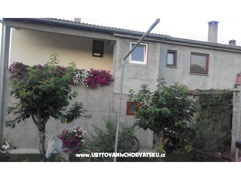 Apartments  Nina  – Ferienwohnung Zadar, Kroatien – Foto 12