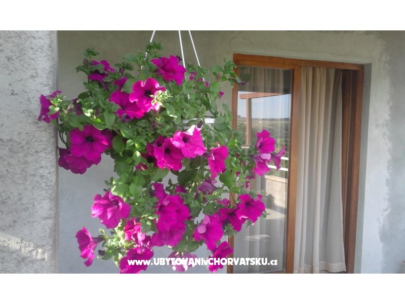 Apartments  Nina  – Ferienwohnung Zadar, Kroatien – Foto 8