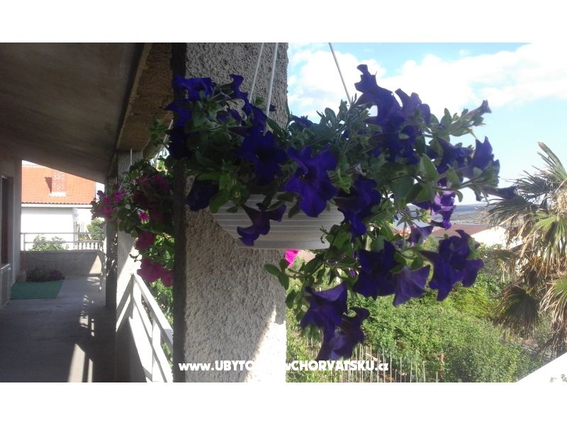 Apartments  Nina  – Ferienwohnung Zadar, Kroatien – Foto 9