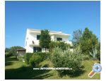 Apartmeni Mirko - Zadar Hrvaka