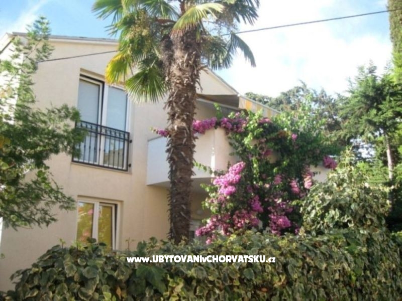 Apartmán Jelena – ubytování Zadar, Chorvatsko – foto 9