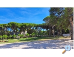 Apartma Noa - Zadar Hrvaka