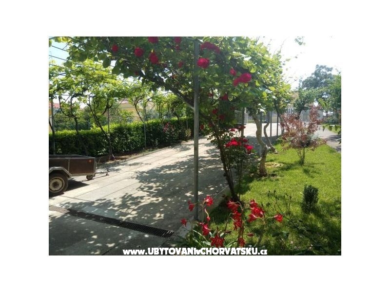 Appartement Tina – Ferienwohnung Zadar, Kroatien – Foto 2