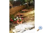 Apartmaji Asea Zadar - Zadar Hrvaka