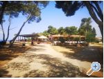 Apartmaji Asea Zadar - Zadar Hrvaka