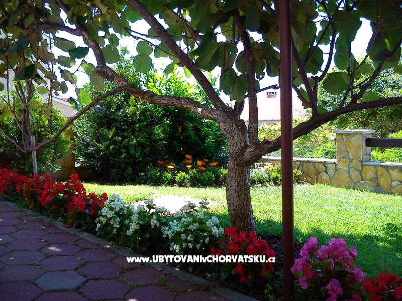 Zadar Ferienwohnungen Buljan – Ferienwohnung Zadar, Kroatien – Foto 5