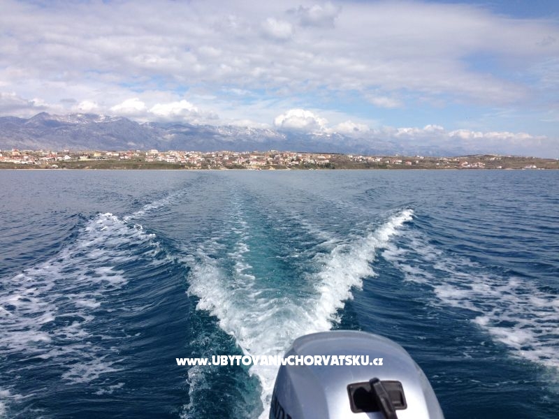 Ferienwohnungen Ema – Ferienwohnung Zadar, Kroatien – Foto 8