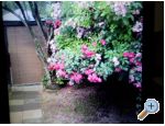 Apartmny Floresita - Zadar Chorvatsko