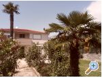 Apartmny Floresita - Zadar Chorvatsko