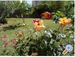 Apartmny Floresita - Zadar Chorvatsko