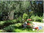 Apartmaji ISA - Zadar Hrvaka