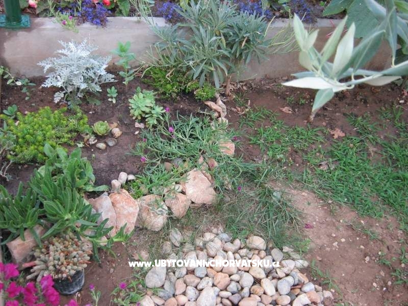 Ferienwohnungen Maja – Ferienwohnung Zadar, Kroatien – Foto 10