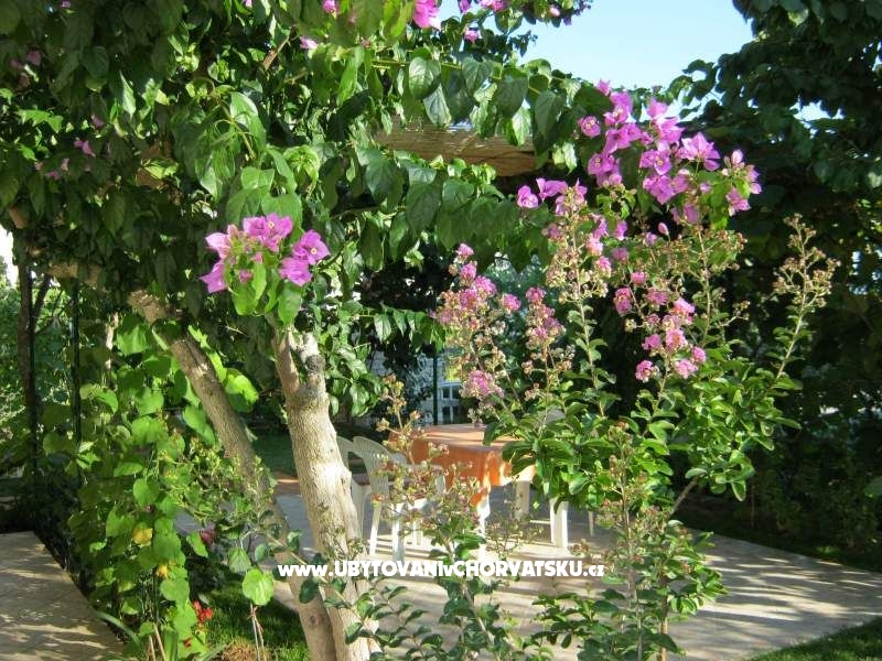 Ferienwohnungen Maja – Ferienwohnung Zadar, Kroatien – Foto 14