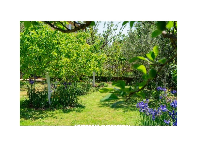 Ferienwohnungen Manda – Ferienwohnung Zadar, Kroatien – Foto 5