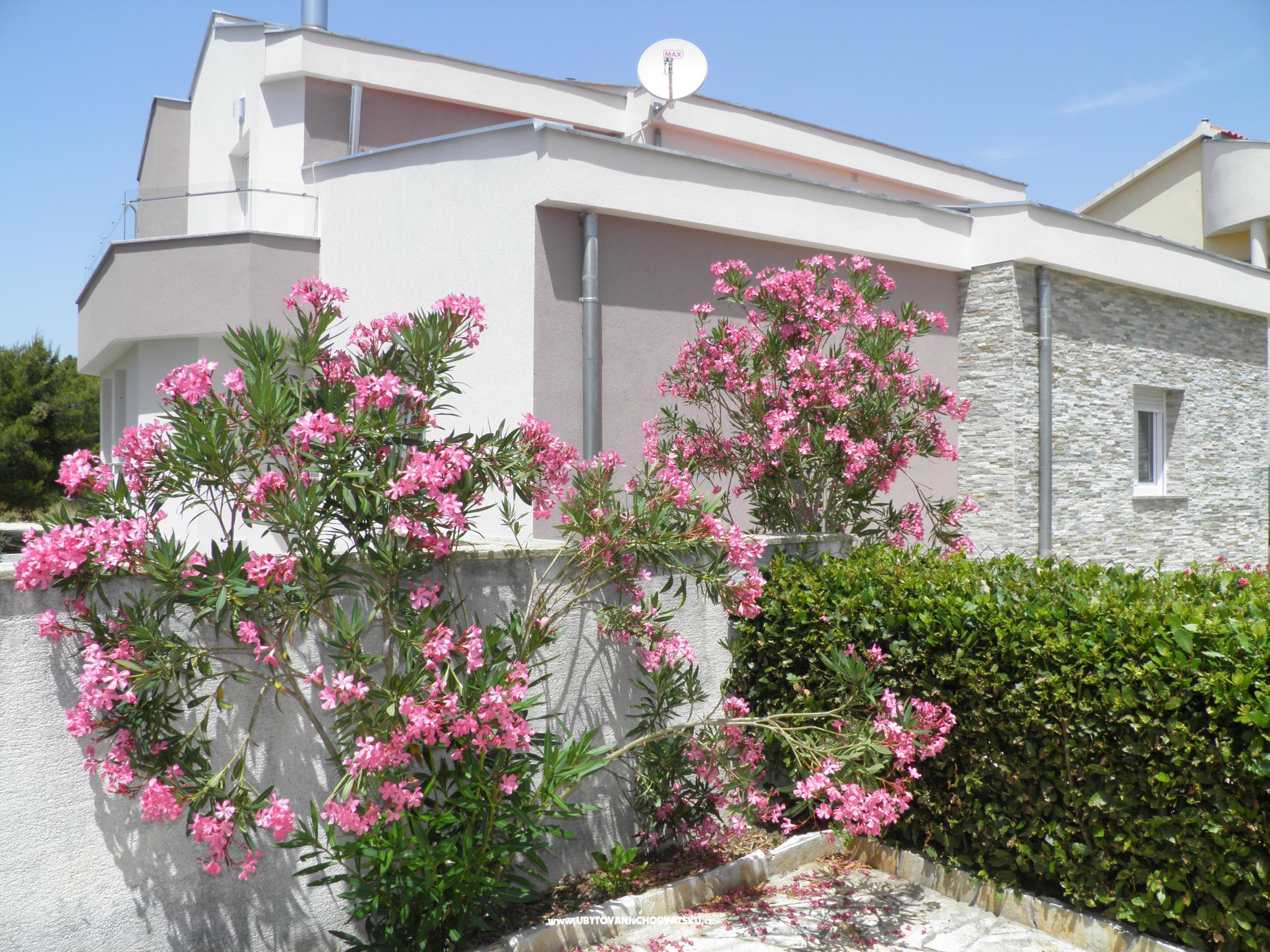 Apartmány Mirakul – ubytování Zadar, Chorvatsko – foto 8