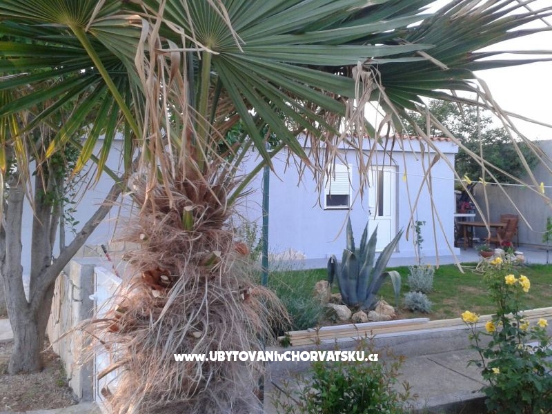 Studio apartment Ella Vrsi i apartm – Ferienwohnung Zadar, Kroatien – Foto 1