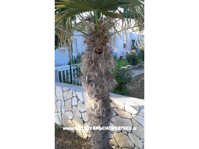 Studio apartment Ella Vrsi i apartm – Ferienwohnung Zadar, Kroatien – Foto 14