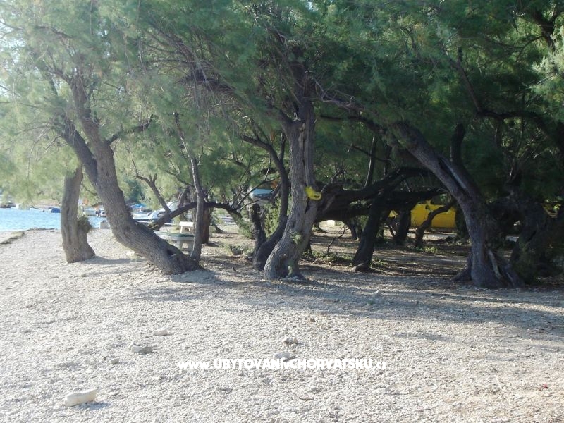 Appartements Hudi – Ferienwohnung Zadar, Kroatien – Foto 14