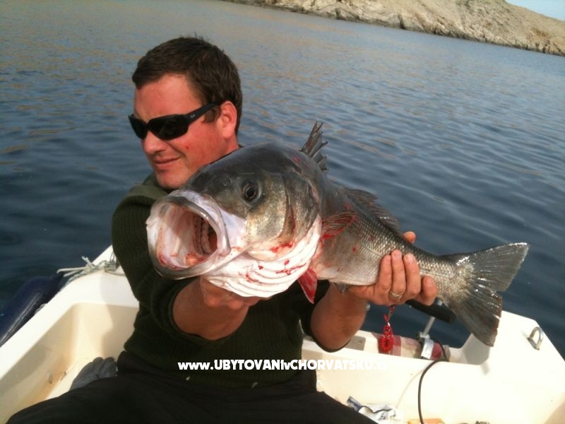 Holiday Rtina – ubytování Zadar, Chorvatsko – foto 17